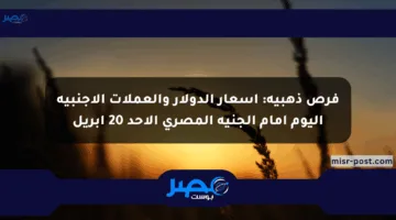 فرص ذهبية: أسعار الدولار والعملات الأجنبية اليوم أمام الجنيه المصري الأحد 20 أبريل